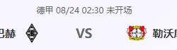 球迷网-前瞻公推：德甲 门兴格拉德巴赫-勒沃库森