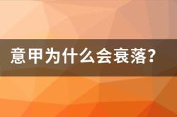 球迷网-意甲为什么会衰落？