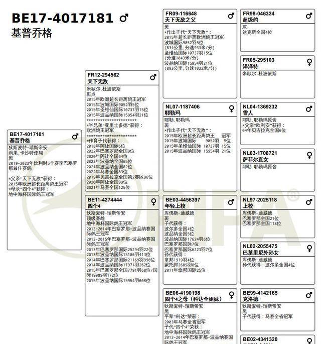 巴塞罗那:雨果卡沙特：五飞巴塞罗那终成正果巴塞罗那，登顶巴塞罗那鸽王冠军